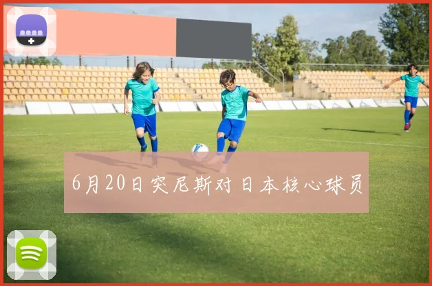 6月20日突尼斯对日本核心球员