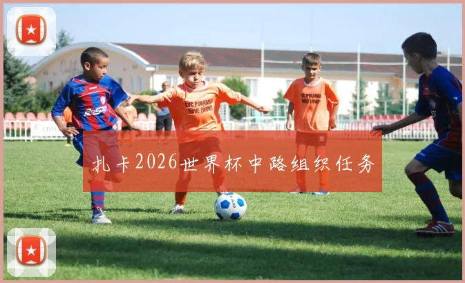 扎卡2026世界杯中路组织任务