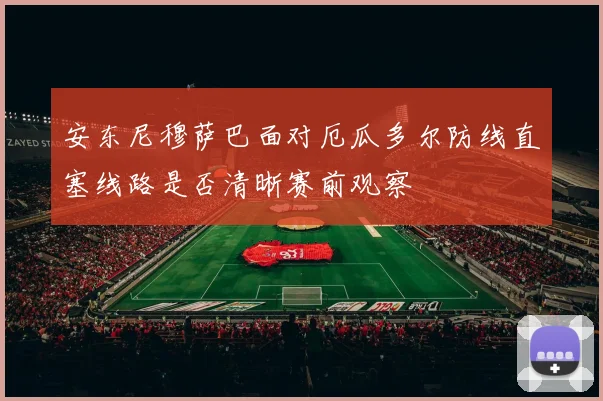 安东尼穆萨巴面对厄瓜多尔防线直塞线路是否清晰赛前观察