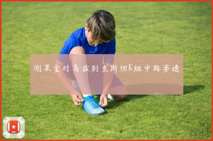 刚果金对乌兹别克斯坦K组中路渗透
