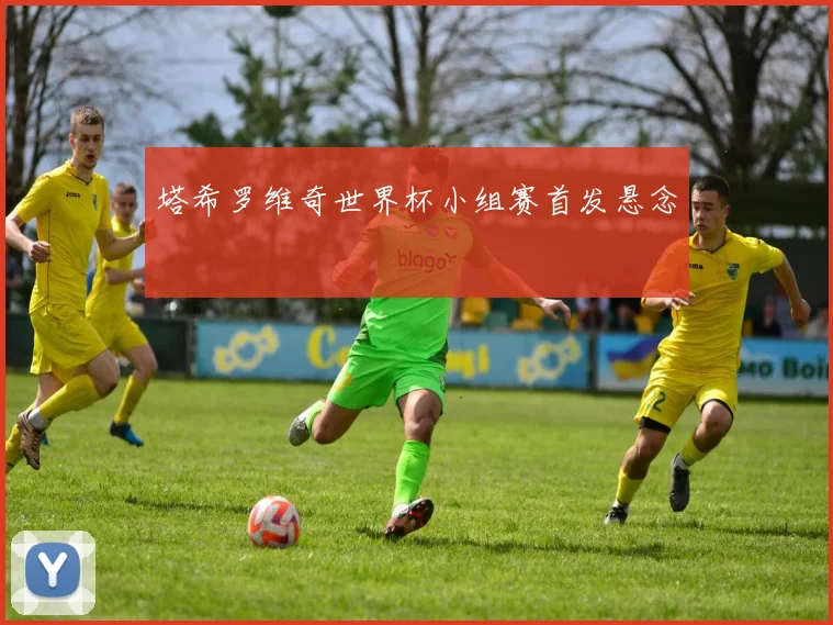 塔希罗维奇世界杯小组赛首发悬念